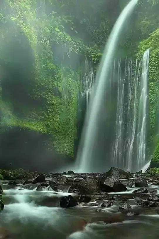 沪江开心词场