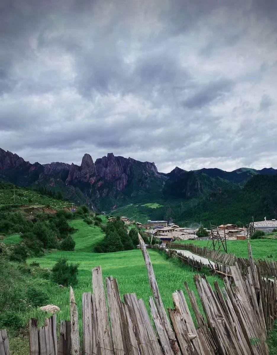 小僵尸射飞鸟