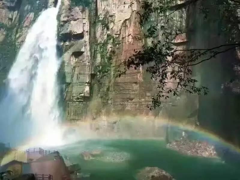胡椒猪肚鸡、当归红枣乌鸡……匠心熬制的广府靓汤,加热即食!