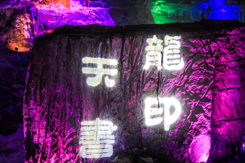 给狗狗洗澡一定要吹干吗？游戏画面
