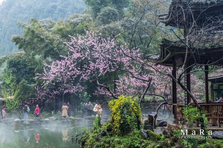照顾小兔宝宝