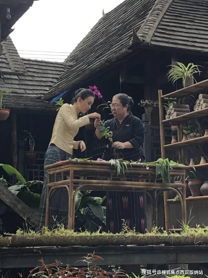 史上最贱小游戏之足球选关版