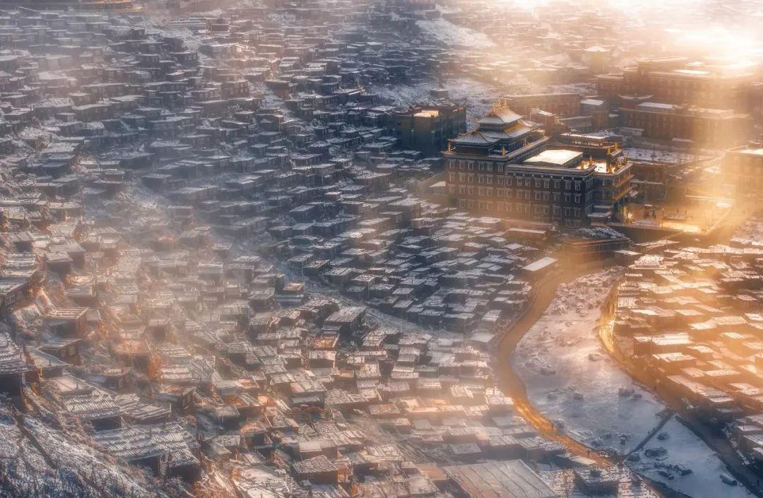 球球大作战下载最新版