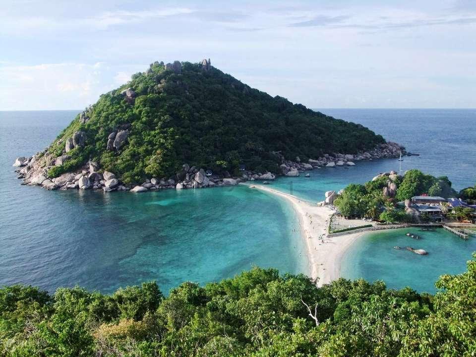 小猫钓鱼正版下载中文版