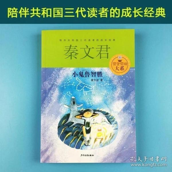 黄球大冒险无敌版