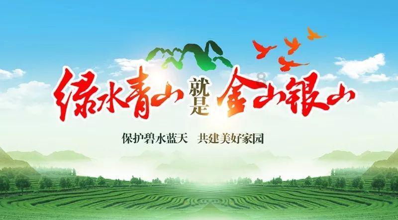 救援达尔马提亚狗