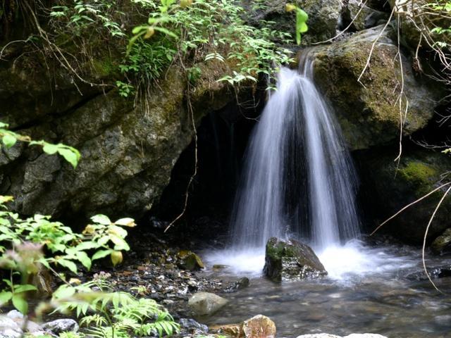 虫虫助手下载
