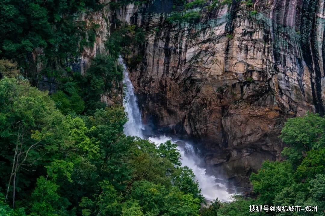 机器人罗博