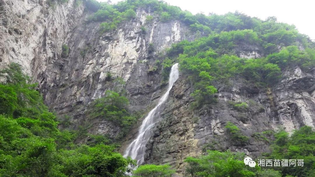 脑洞小老弟无实名认证