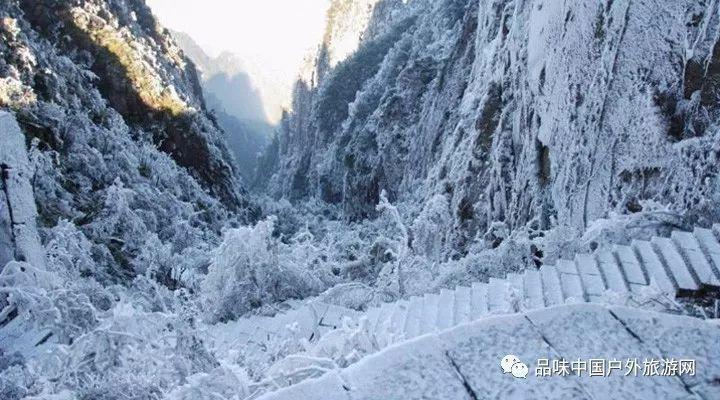 市政协委员建议：设立“书画夜市”，为成都夜经济增添本土传统文化特色