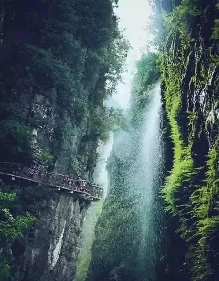 山城花开迎春