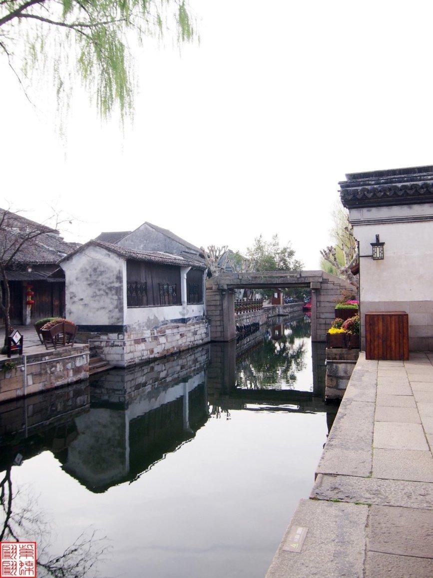 动物帮帮忙保卫家园