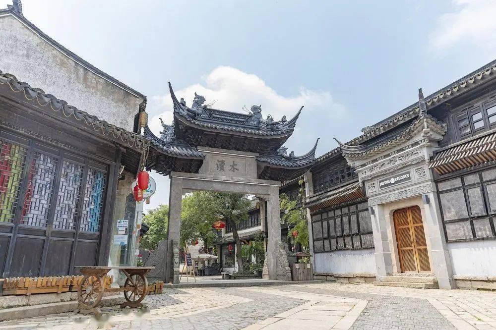 饿狮救援