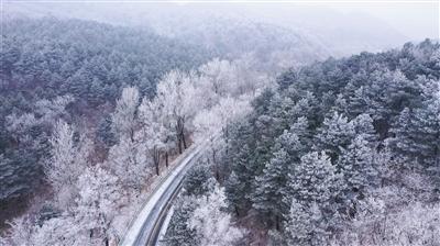 韩愈:石鼓歌