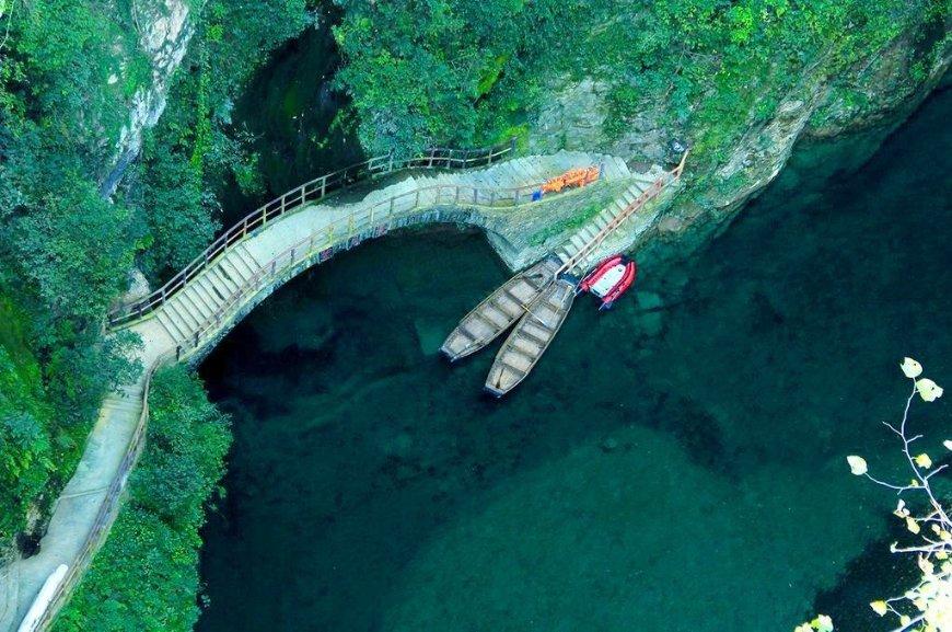 逃出绿色公寓
